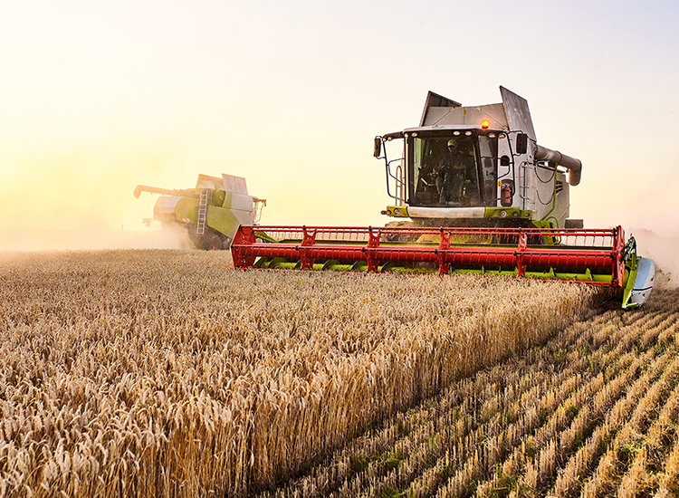 Kratkoročni i dugoročni krediti za poljoprivredu